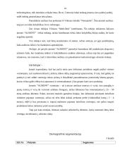 Verslo idėja ir strategija 10 puslapis