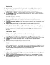 Širdies - kraujagyslių sistemos (ištvermės) individualus stiprinimo planas 2 puslapis