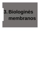Biologinės membranos