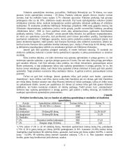 Verslo kreditavimo rūšys 11 puslapis