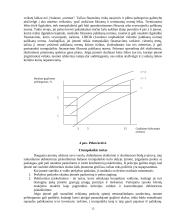 Verslo kreditavimo rūšys 13 puslapis