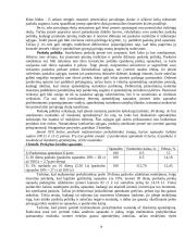 Verslo kreditavimo rūšys 14 puslapis