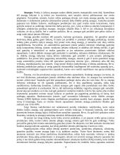 Verslo kreditavimo rūšys 16 puslapis