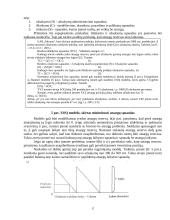 Verslo kreditavimo rūšys 17 puslapis
