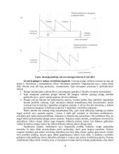 Verslo kreditavimo rūšys 18 puslapis