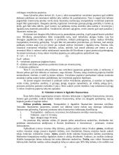 Verslo kreditavimo rūšys 19 puslapis