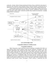 Verslo kreditavimo rūšys 4 puslapis