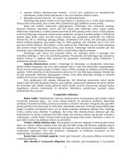 Verslo kreditavimo rūšys 9 puslapis