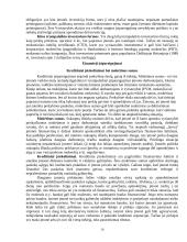 Verslo kreditavimo rūšys 10 puslapis