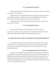Verslo kūrimas nesteigiant įmonės 13 puslapis