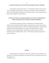 Verslo kūrimas nesteigiant įmonės 15 puslapis