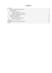 Verslo kūrimo paskatos. Verslumas