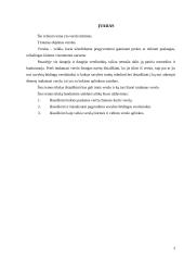 Verslo kūrimo paskatos. Verslumas 2 puslapis