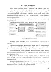 Verslo kūrimo paskatos. Verslumas 13 puslapis