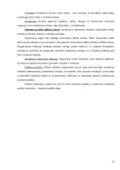 Verslo kūrimo paskatos. Verslumas 14 puslapis