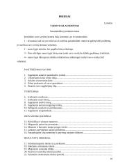 Verslo kūrimo paskatos. Verslumas 17 puslapis