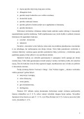 Verslo kūrimo paskatos. Verslumas 4 puslapis