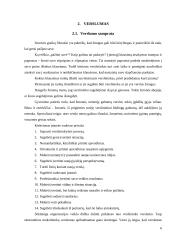 Verslo kūrimo paskatos. Verslumas 5 puslapis