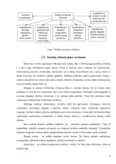 Verslo kūrimo paskatos. Verslumas 8 puslapis