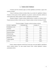 Verslo kūrimo paskatos. Verslumas 10 puslapis