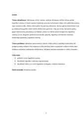 Verslo logistikos įtaka įmonės konkurencingumui 2 puslapis