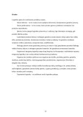 Verslo logistikos įtaka įmonės konkurencingumui 13 puslapis