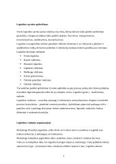 Verslo logistikos įtaka įmonės konkurencingumui 3 puslapis