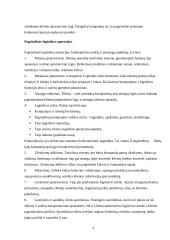 Verslo logistikos įtaka įmonės konkurencingumui 4 puslapis