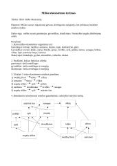 Miško ekosistemos tyrimas
