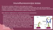 Imunologiniai diagnostikos metodai 13 puslapis