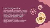 Imunologiniai diagnostikos metodai 3 puslapis