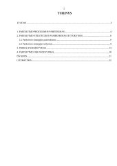 Verslo organizavimo praktikos savarankiškas darbas 2 puslapis