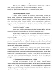 Verslo organizavimo praktikos savarankiškas darbas 12 puslapis