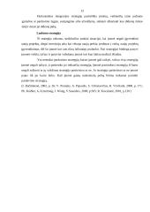 Verslo organizavimo praktikos savarankiškas darbas 13 puslapis