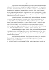 Verslo organizavimo praktikos savarankiškas darbas 17 puslapis