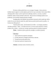 Verslo organizavimo praktikos savarankiškas darbas 3 puslapis