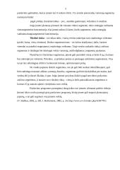 Verslo organizavimo praktikos savarankiškas darbas 5 puslapis
