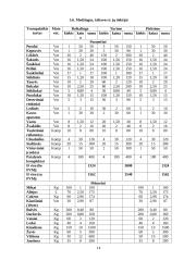 Verslo organizavimas: IĮ "Pastogė" 13 puslapis