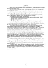 Verslo organizavimas: IĮ "Pastogė" 2 puslapis