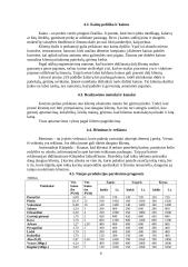 Verslo organizavimas: IĮ "Pastogė" 8 puslapis