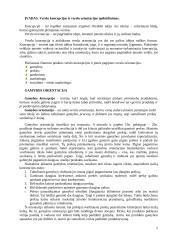 Verslo orientavimas 2 puslapis