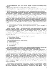 Verslo orientavimas 3 puslapis
