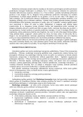 Verslo orientavimas 6 puslapis