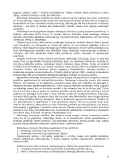 Verslo orientavimas 8 puslapis