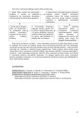 Verslo orientavimas 10 puslapis