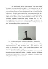 Statybų darbų praktika 15 puslapis