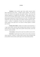 Statybų darbų praktika 2 puslapis