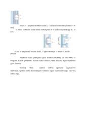 Statybų darbų praktika 20 puslapis