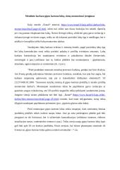 Statybų darbų praktika 4 puslapis