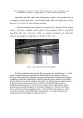 Statybų darbų praktika 9 puslapis